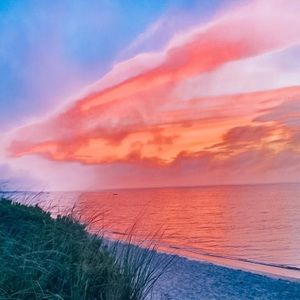 Meet your Posher, Sophie